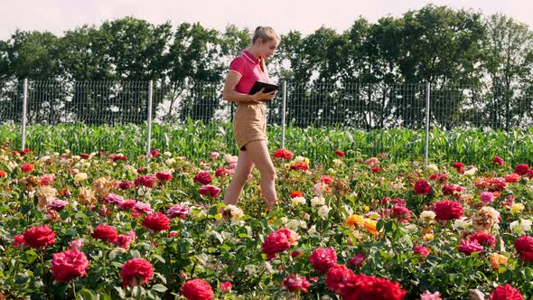 Female Gardener Checks Quality of Flowers and Takes Notes on Digital Tablet, Walking Along Rows of alt