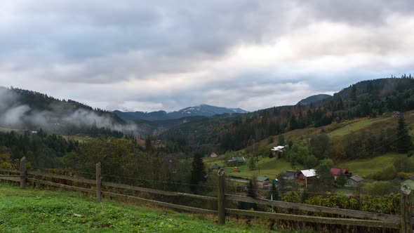 The snow-covered peak of the mountain is overgrown with a pine forest.  alt