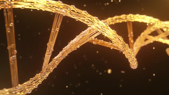 Abstract DNA  Background