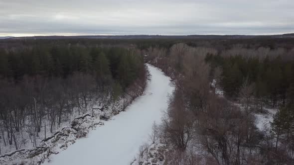 Landscape with Naked Trees in Woodland in Winter Day, Aerial Shot
