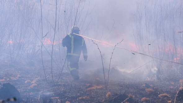 Firefighters in Equipment Extinguish Forest Fire with Fire Hose. Slow Motion alt