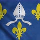 Saintonge Flag France Waving in Wind - VideoHive Item for Sale