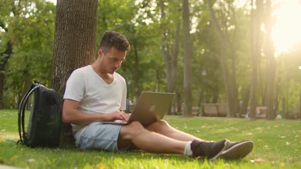 Young Man with Laptop in Park Near Tree at Sunset alt