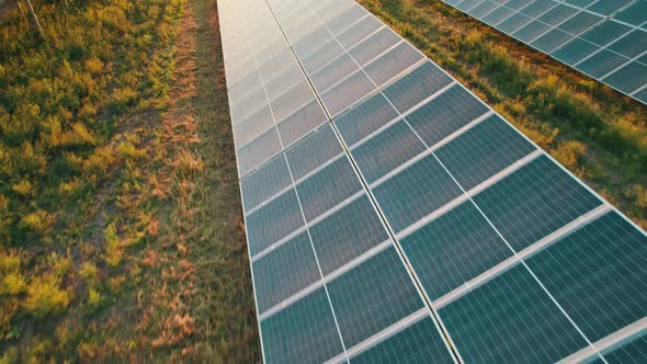 Aerial View of Solar Farm on the Green Field at Sunset Time Solar Panels in Row alt