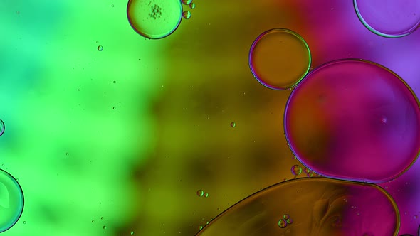 Abstract Colorful Food Oil Drops Bubbles 156 alt