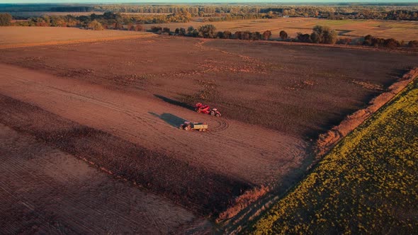 Aerial video of working combine harvester and tractor with trailer on field of potato