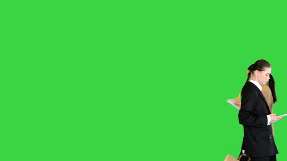 Flow of Young Office Workers Multiracial on a Green Screen Chroma Key