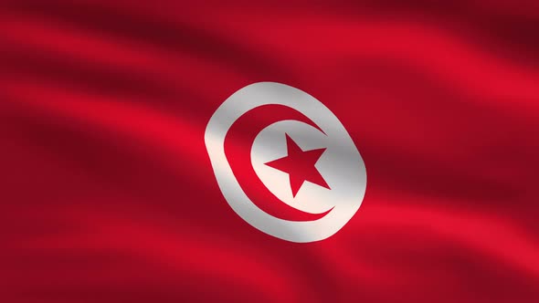 Tunisia Windy Flag Background 4K alt