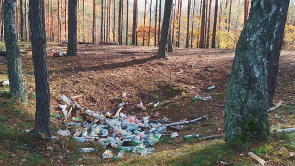 Garbage Polluting Forests and Destroying Ecosystem