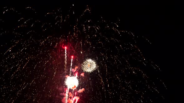 Fireworks Light Up the Sky New Year Celebration Independence Day USA Celebration Anniversary Colored alt