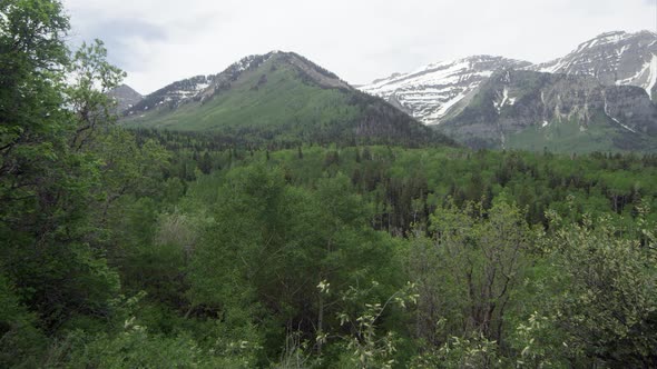 Panning view of mountain landscape over green forest. alt