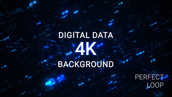 Digital Data Network Background 4K