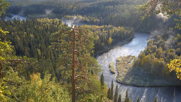 Panning Shot of Autumn Morning Landscape in Oulanka National Park, Finland alt
