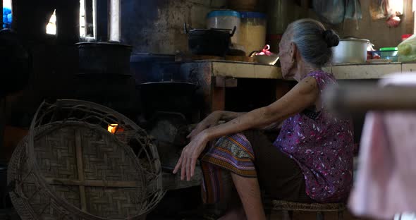 Old Woman In The Kitchen alt