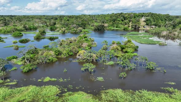 Stunning landscape of Amazon Forest at Amazonas State Brazil. alt