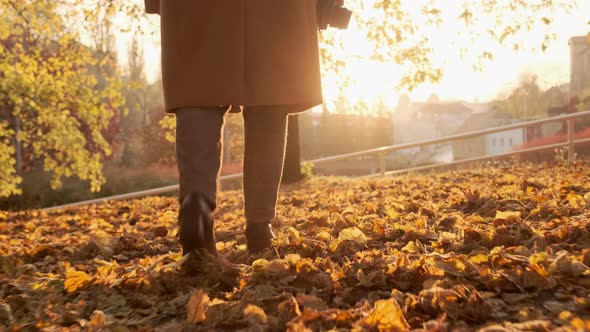 Female Photographer Walks Through the Autumn Forest at Sunset in a Brown Coat and Plaid Trousers alt
