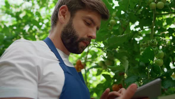 Closeup Agricultural Engineer Controlling Plants Growth Tablet in Plantation alt