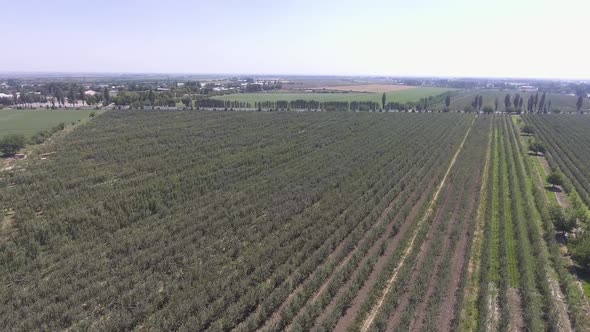 agricultural field panorama alt