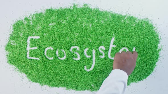 Green Hand Writing   Ecosystem