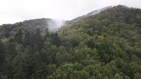 Aerial View of the Carpathian Mountains in Autumn. Ukraine alt
