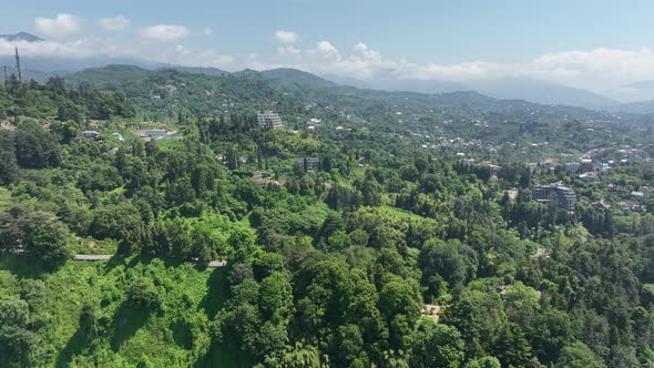 Aerial view of the Black sea coast. The Botanical Garden of Batumi, located at area of Green Cape alt