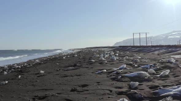 Diamond Beach at Glacier Lagoon in Iceland a Black Sand Beach with Scattered Ice alt