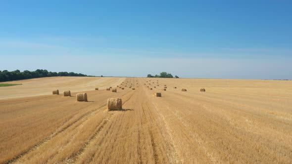 Round Hay Bales At The Field 12 alt