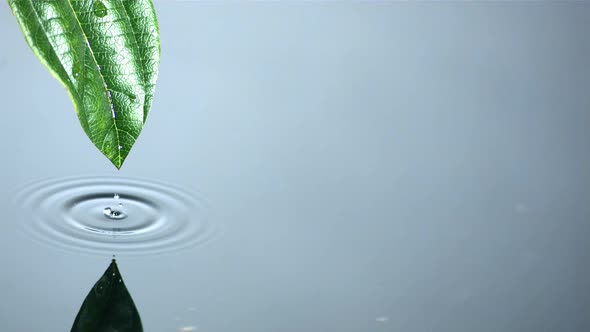 Water running off green leaf into water pool alt