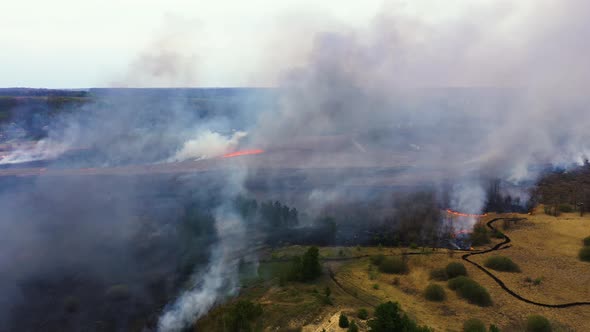 Natural Ecology disaster climate change. Aerial view of big smoke clouds and fire on the field alt