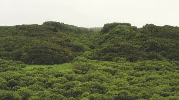 Drone Over Lush Green Landscape alt