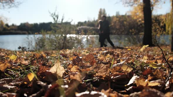 Couple in Love Walks in Picturesque Autumn Park Near River with Fallen Leaves alt