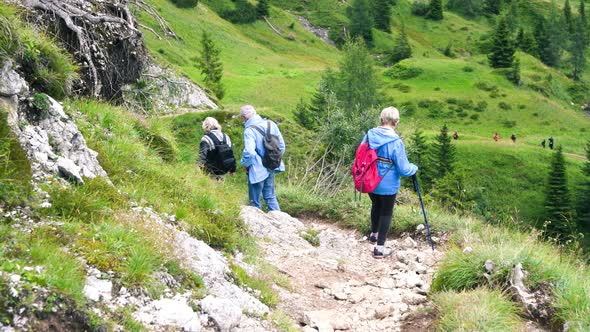Family Excursion Along a Beautiful Mountain Landscape alt
