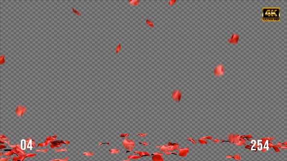 Rose Petal Pack 4K alt