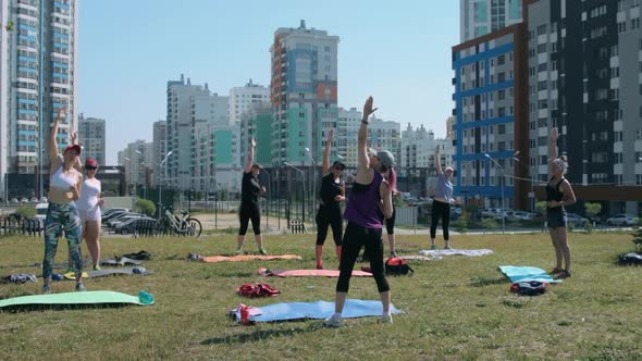 Group of women doing fitness exercises outdoors