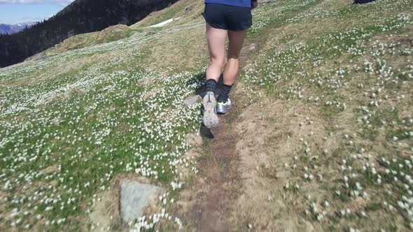 Runner In The Mountains On The Path Of Flowers In Spring alt