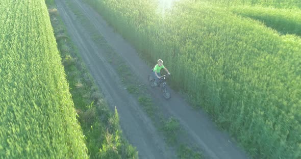 Aerial View on Young Boy That Rides a Bicycle Thru a Wheat Grass Field on the Old Rural Road alt