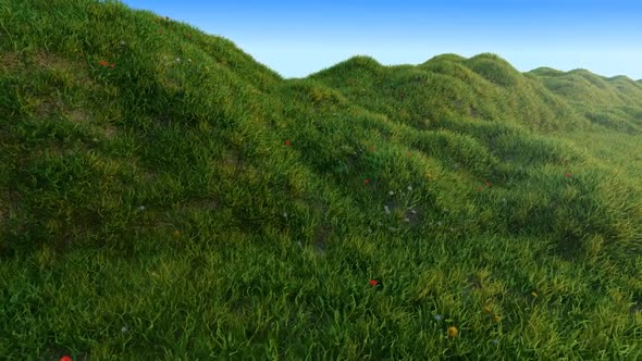 Grass Hills