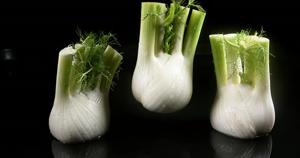 Fennel, foeniculum vulgare, Vegetable falling into Water against Black Background, Slow Motion 4K alt