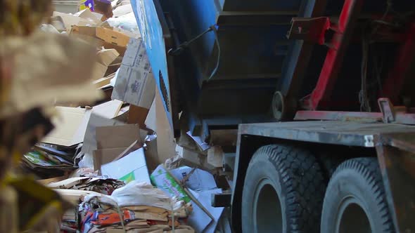 Truck Brought the Waste Paper alt
