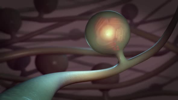 Swollen and inflamed finger joints alt