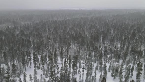 Snowy Forest in Heavy Snowfall Aerial View Top with Winter Panoramic Landscape alt