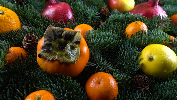 Abies nobilis branch with fruit on an old wooden vintage board alt