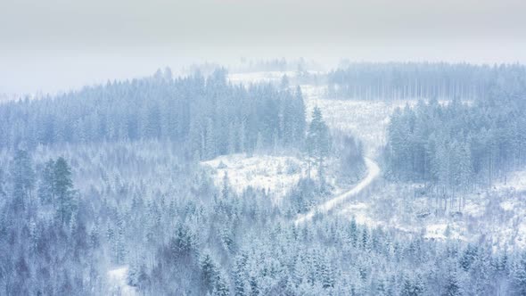 AERIAL - Snowfall over a beautiful forest in Sweden, wide spinning shot alt
