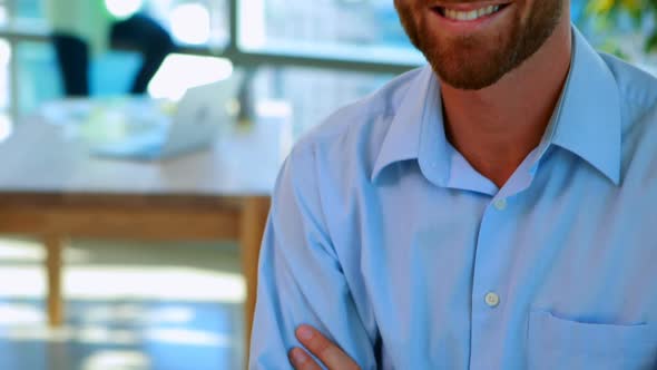 Portrait of happy executive alt