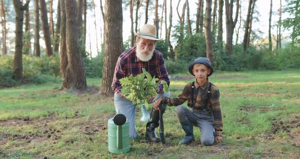 Grandfather and His Grandson Posing on Camera During Planting Young Seedling of oak in the Park alt