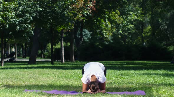 Fit Girl Doing Yoga in the Park on a Sunny Day alt