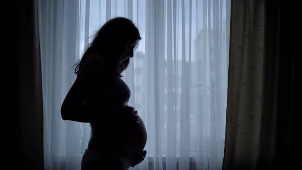 Black Silhouette Of Nice Pregnant Woman Stroking Her Belly Standing Near Window Stock Footage 