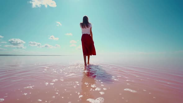 Rear View Woman in Red Skirt Enjoying Beautiful Nature at Pink Salt Lake alt