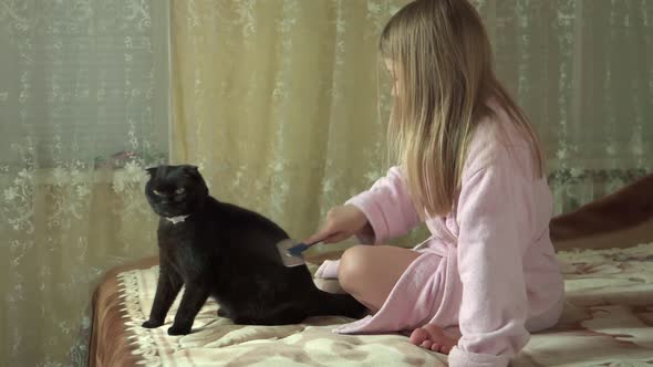 Girl Combs Hair of Her Cat with Special Brush for Animals