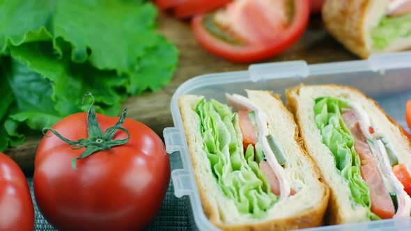 Fresh made sandwiches with carrot sticks in the lunch box, ready to eat, dolly shot alt